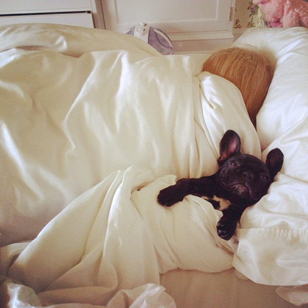 Lady Gaga Instagram Lady Gaga Instagram